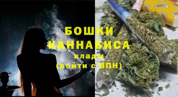 крисы Няндома