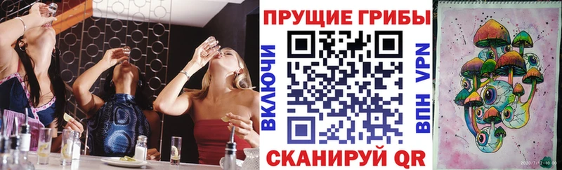 Псилоцибиновые грибы Psilocybe  дарк нет состав  Шиханы 
